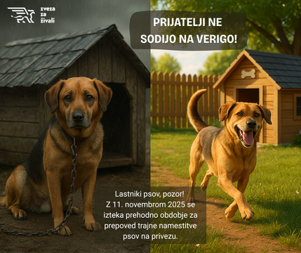 KONEC PREHODNEGA OBDOBJA ZA PREPOVED PRIVEZOVANJA PSOV